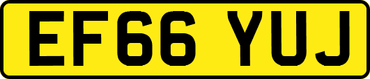 EF66YUJ