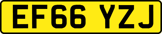 EF66YZJ