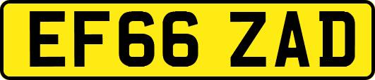 EF66ZAD