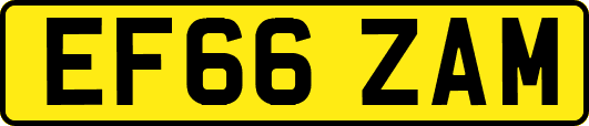 EF66ZAM