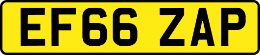 EF66ZAP