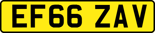 EF66ZAV