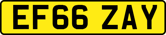 EF66ZAY