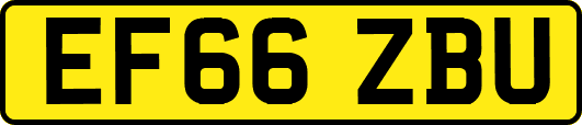 EF66ZBU
