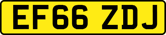 EF66ZDJ