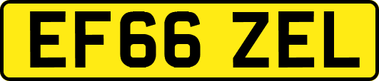 EF66ZEL