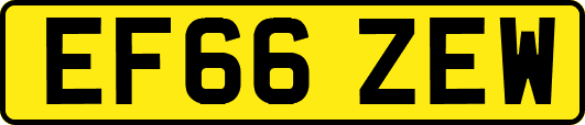 EF66ZEW