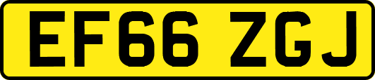 EF66ZGJ