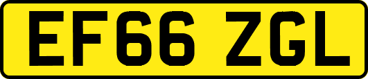 EF66ZGL