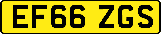 EF66ZGS