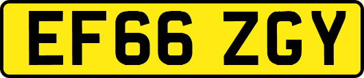 EF66ZGY