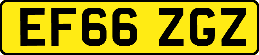 EF66ZGZ