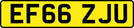EF66ZJU
