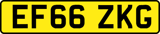 EF66ZKG