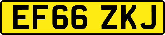 EF66ZKJ