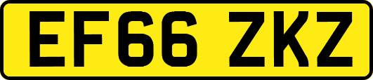 EF66ZKZ