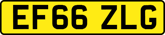 EF66ZLG