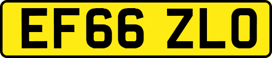 EF66ZLO