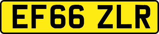 EF66ZLR