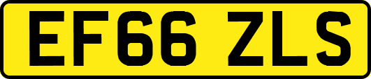 EF66ZLS