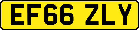 EF66ZLY