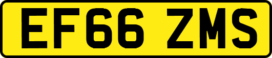 EF66ZMS
