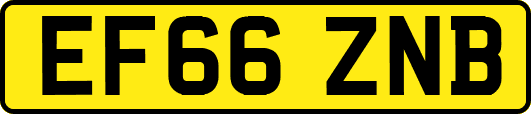 EF66ZNB