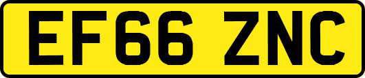 EF66ZNC