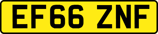 EF66ZNF
