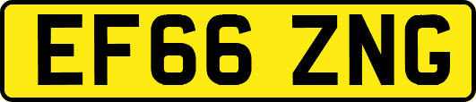EF66ZNG