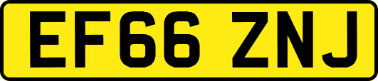 EF66ZNJ