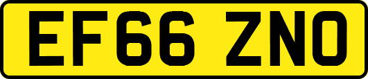 EF66ZNO