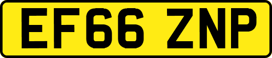 EF66ZNP