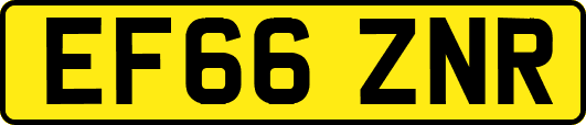 EF66ZNR