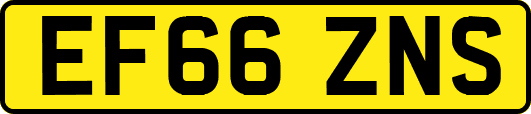 EF66ZNS