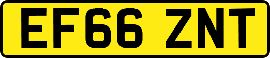 EF66ZNT