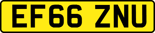 EF66ZNU