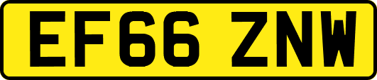 EF66ZNW
