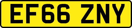 EF66ZNY