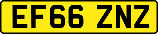 EF66ZNZ