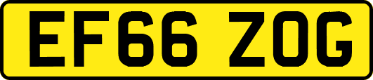 EF66ZOG