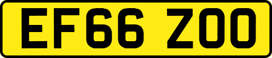 EF66ZOO