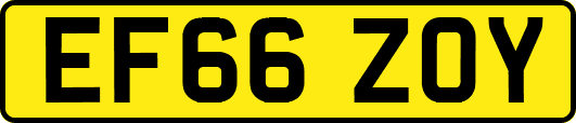 EF66ZOY