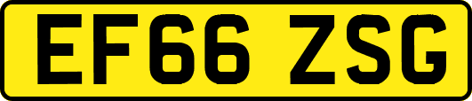 EF66ZSG