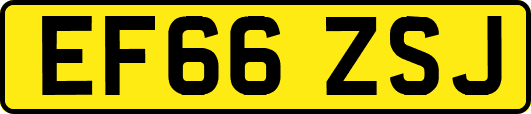 EF66ZSJ