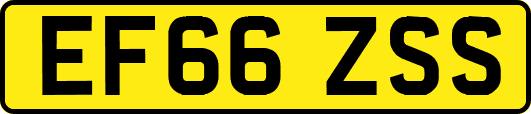 EF66ZSS