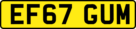 EF67GUM