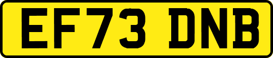 EF73DNB