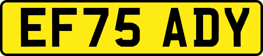 EF75ADY