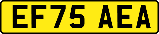 EF75AEA